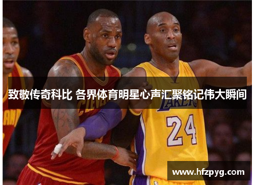致敬传奇科比 各界体育明星心声汇聚铭记伟大瞬间